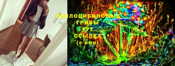 бошки Каменногорск