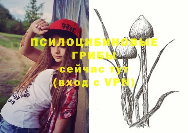 ешки Каменка