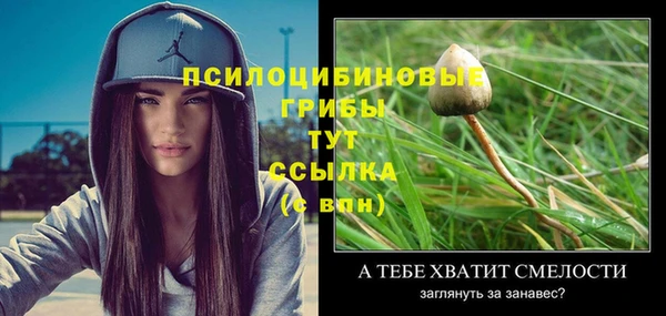 ешки Каменка