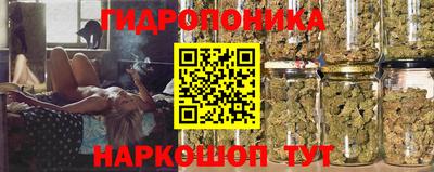 a pvp Свободный