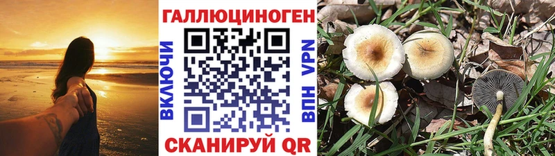 Галлюциногенные грибы GOLDEN TEACHER Сатка
