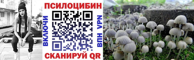 продажа наркотиков  Сатка  Псилоцибиновые грибы ЛСД 